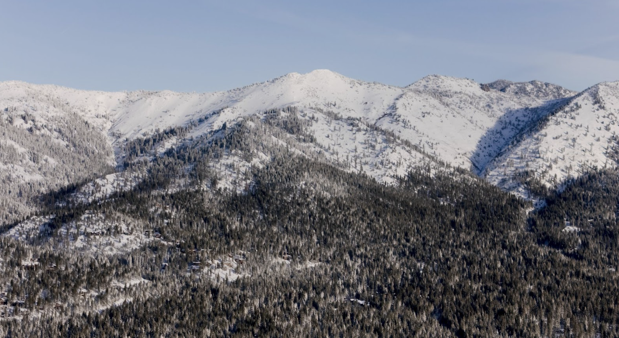 now-covered mountains and pine forest near Lake Tahoe in winte